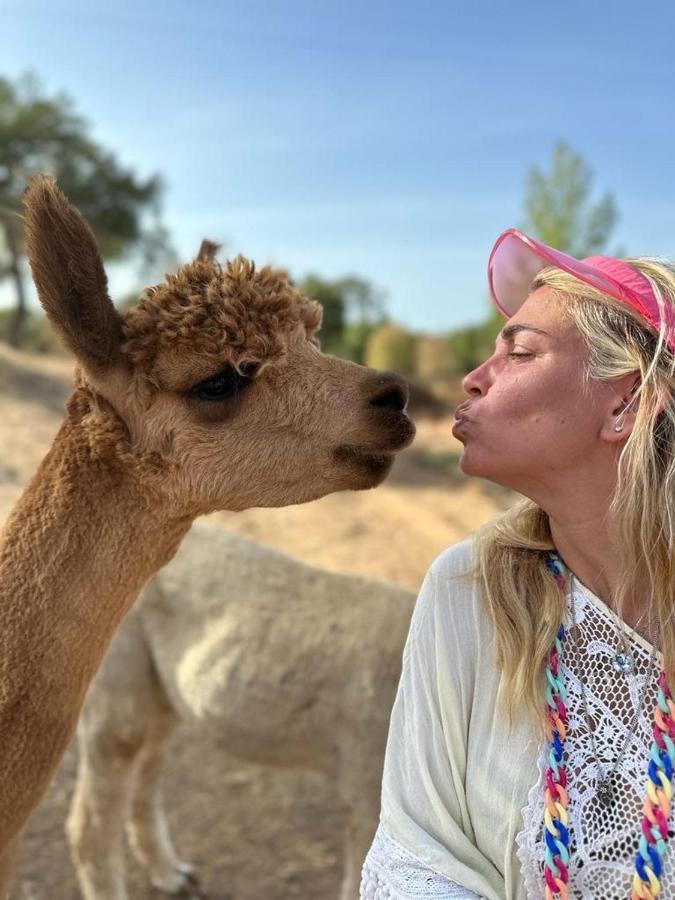Alpaca Farm And B&B - Mama Adama Grândola Zewnętrze zdjęcie